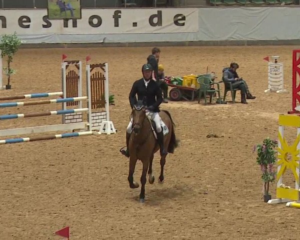 Reitturnier Kreuth/Opf. 2024