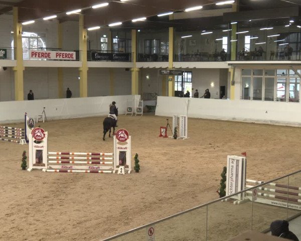 Reitturnier Stadl-Paura 2024