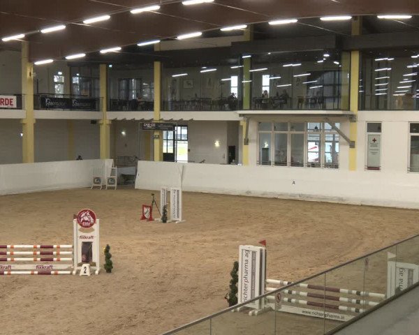 Reitturnier Stadl-Paura 2024
