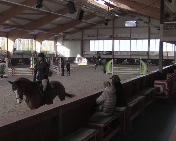 Reitturnier Goch-Asperden 2024