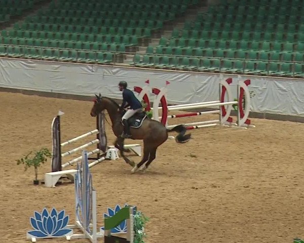 Reitturnier Kreuth/Opf. 2024