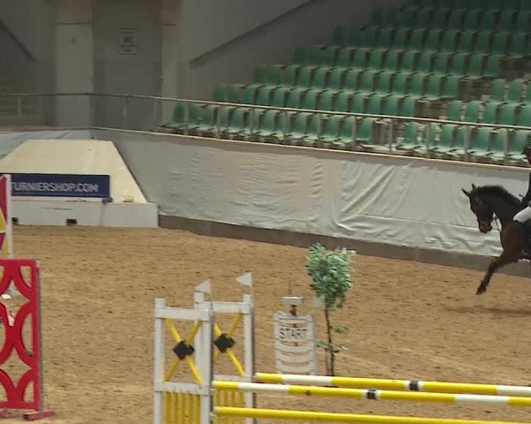 Reitturnier Kreuth/Opf. 2024