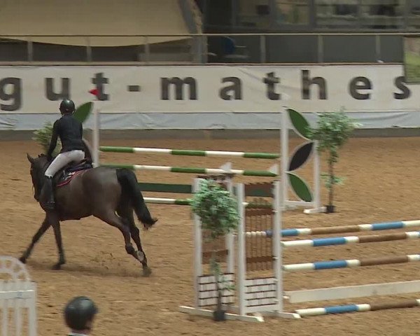 Reitturnier Kreuth/Opf. 2024