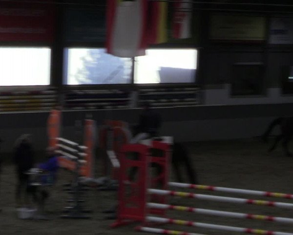 Reitturnier Luhmühlen 2024