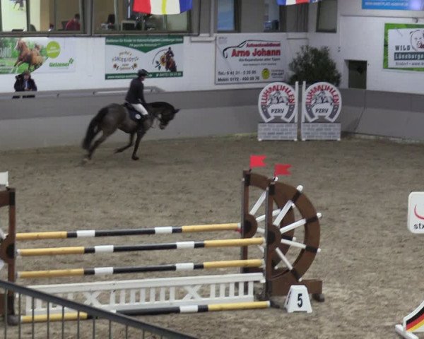 Reitturnier Luhmühlen 2024