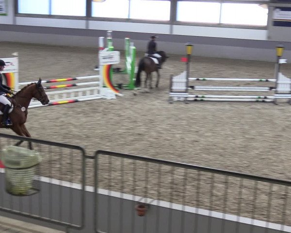 Reitturnier Luhmühlen 2024