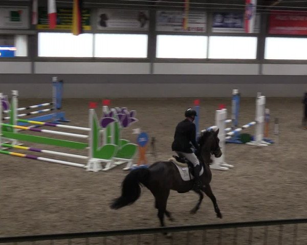 Reitturnier Luhmühlen 2024