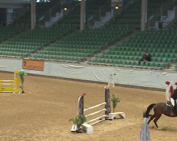 Reitturnier Kreuth/Opf. 2024