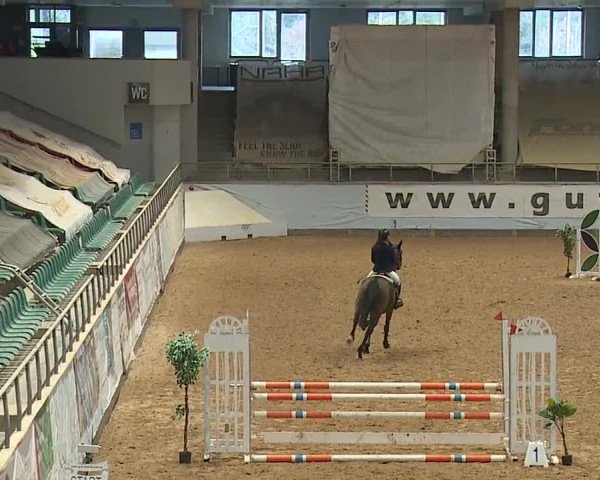 Reitturnier Kreuth/Opf. 2024