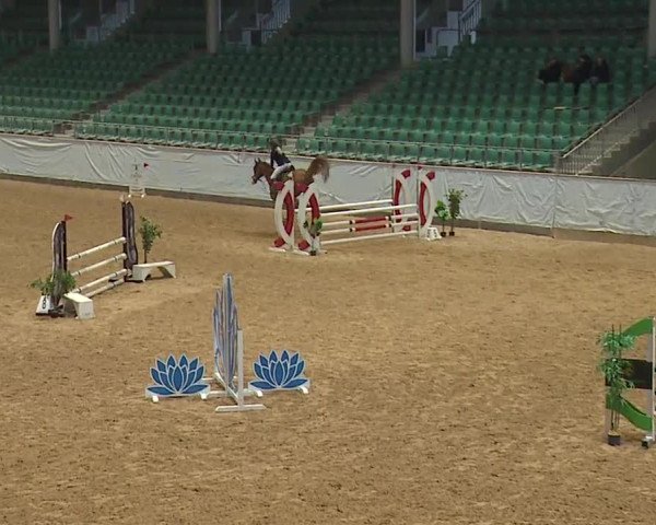 Reitturnier Kreuth/Opf. 2024