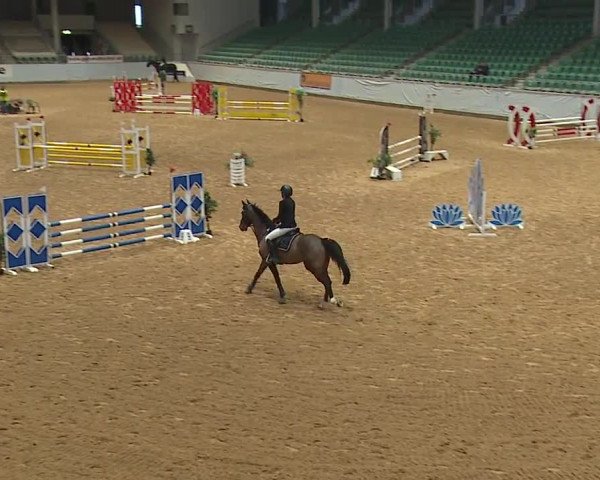 Reitturnier Kreuth/Opf. 2024