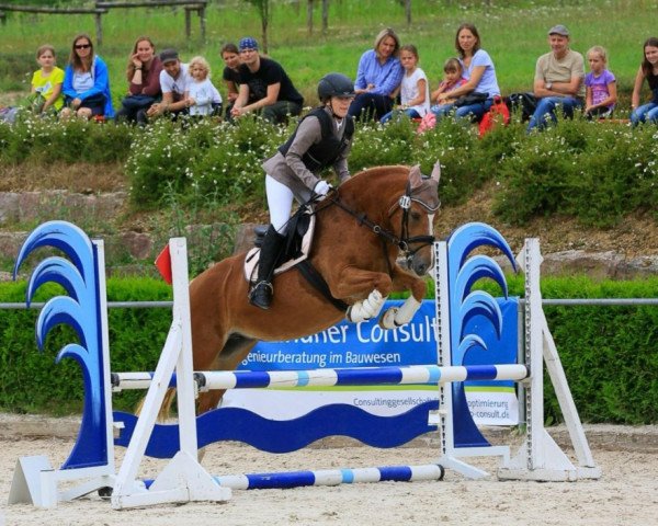 dressage horse Michelle (Freiberger, 2001, from Enjoleur)
