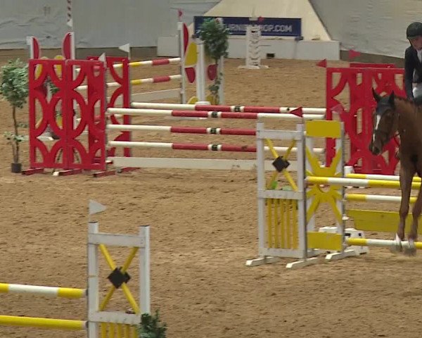 Reitturnier Kreuth/Opf. 2024