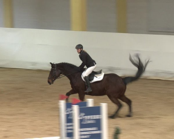 Reitturnier Stadl-Paura 2024