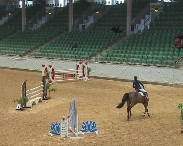 Reitturnier Kreuth/Opf. 2024