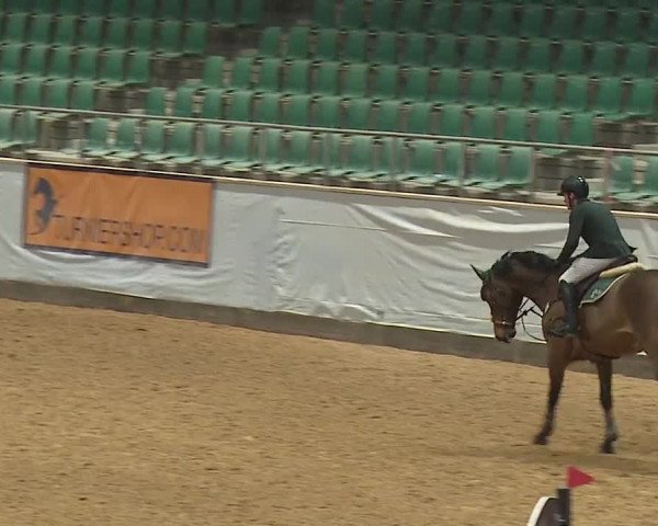 Reitturnier Kreuth/Opf. 2024