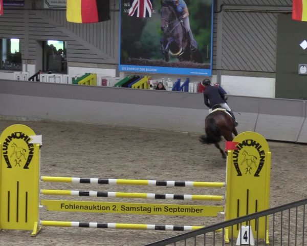 Reitturnier Luhmühlen 2024