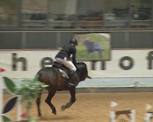 Reitturnier Kreuth/Opf. 2024
