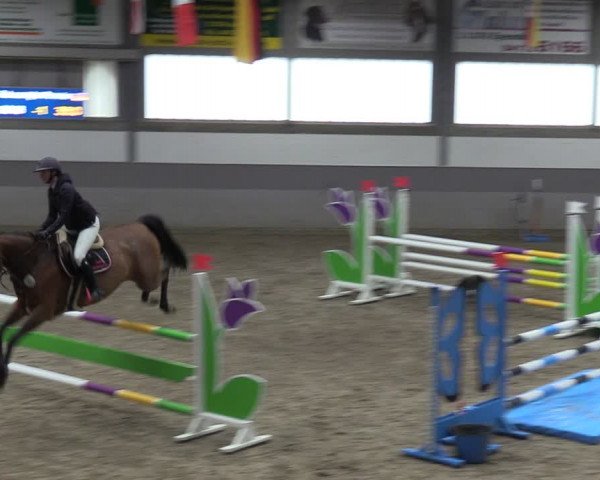 Reitturnier Luhmühlen 2024