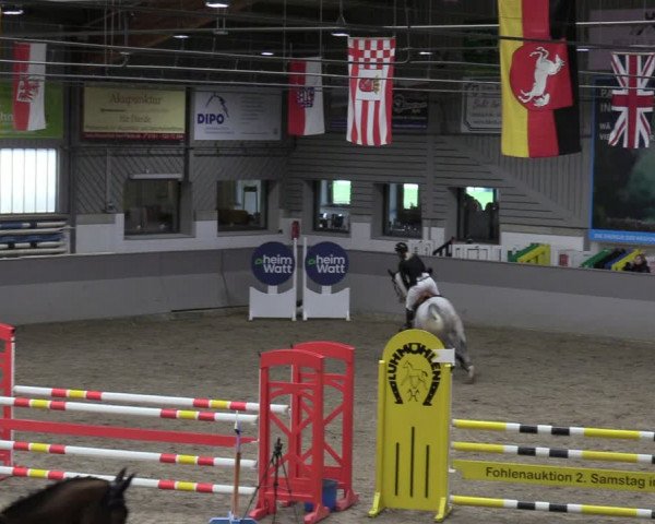Reitturnier Luhmühlen 2024