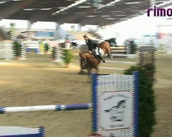 Borken 2011