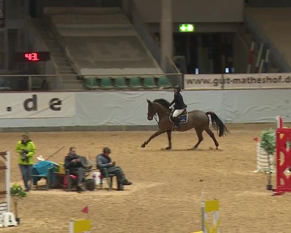 Reitturnier Kreuth/Opf. 2024