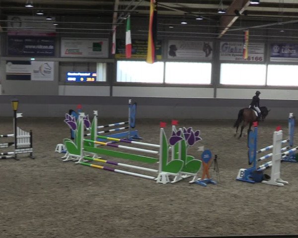 Reitturnier Luhmühlen 2024