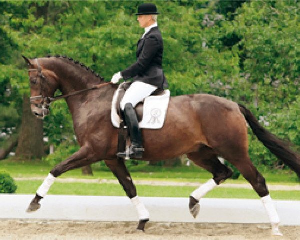 dressage horse Lyö (Rhinelander, 2004, from Damon Hill)