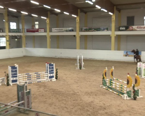 Reitturnier Stadl-Paura 2024