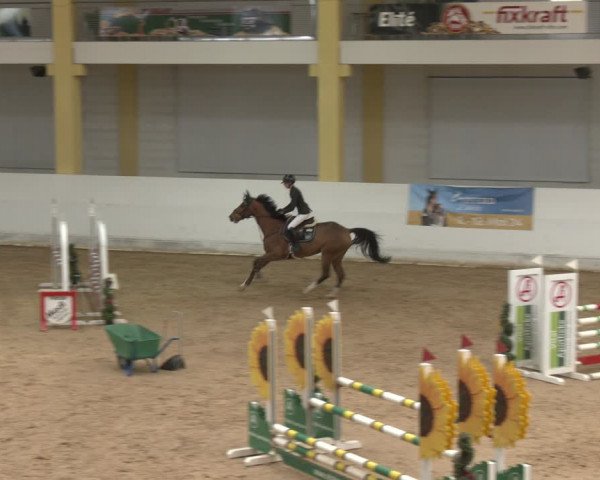 Reitturnier Stadl-Paura 2024