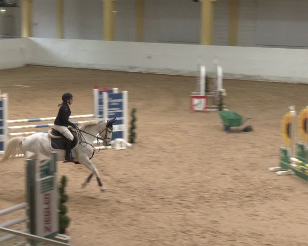 Reitturnier Stadl-Paura 2024