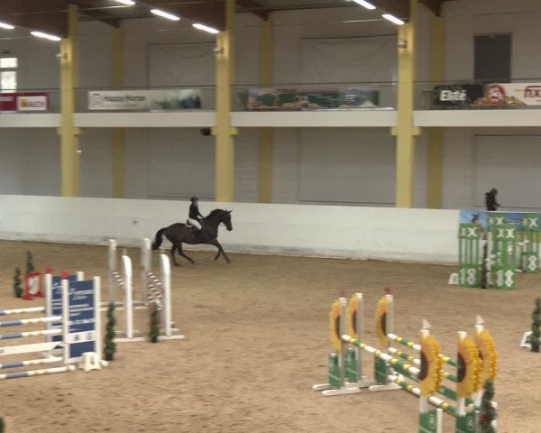 Reitturnier Stadl-Paura 2024