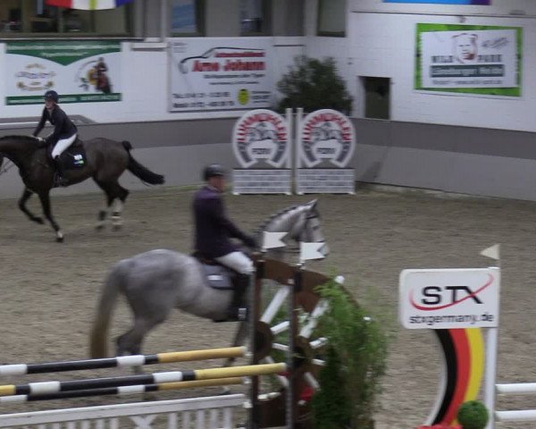 Reitturnier Luhmühlen 2024