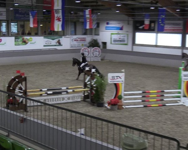 Reitturnier Luhmühlen 2024