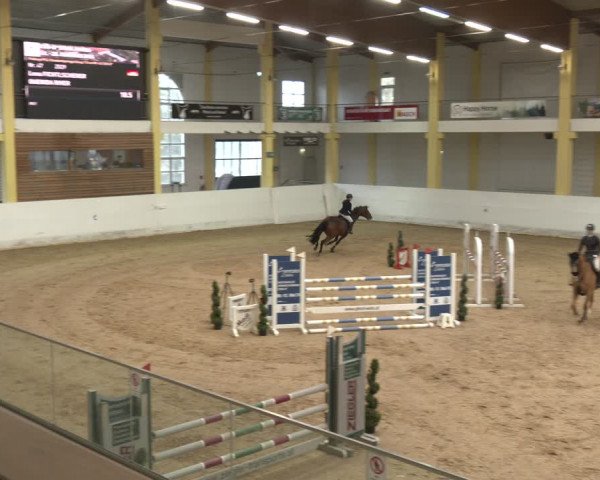 Reitturnier Stadl-Paura 2024