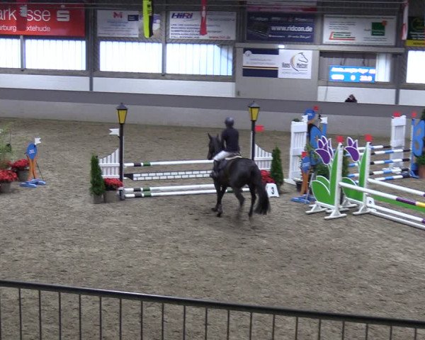 Reitturnier Luhmühlen 2024