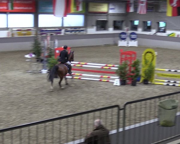 Reitturnier Luhmühlen 2024