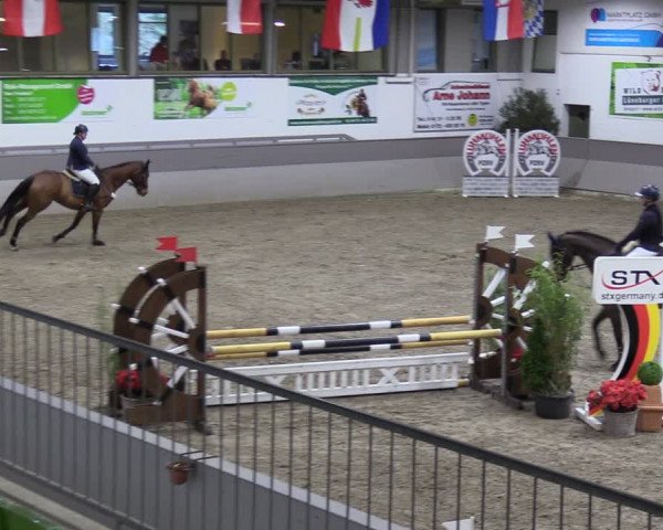 Reitturnier Luhmühlen 2024