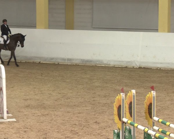 Reitturnier Stadl-Paura 2024