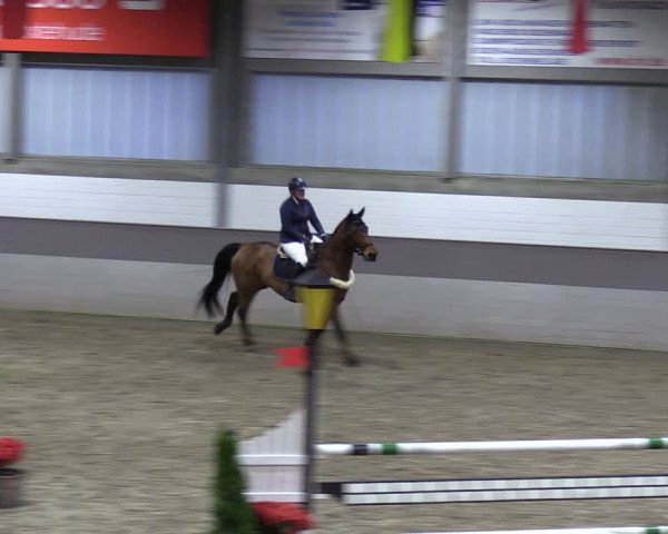 Reitturnier Luhmühlen 2024