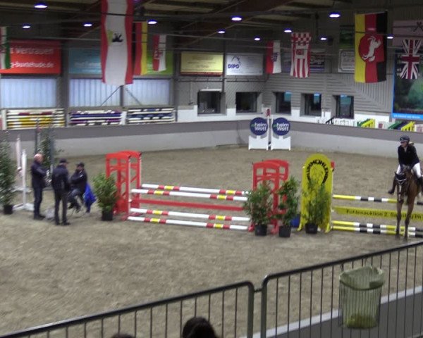 Reitturnier Luhmühlen 2024