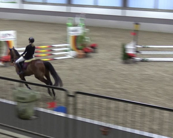Reitturnier Luhmühlen 2024