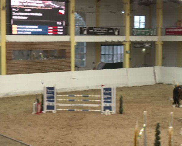 Jezdecký turnaj Stadl-Paura 2024