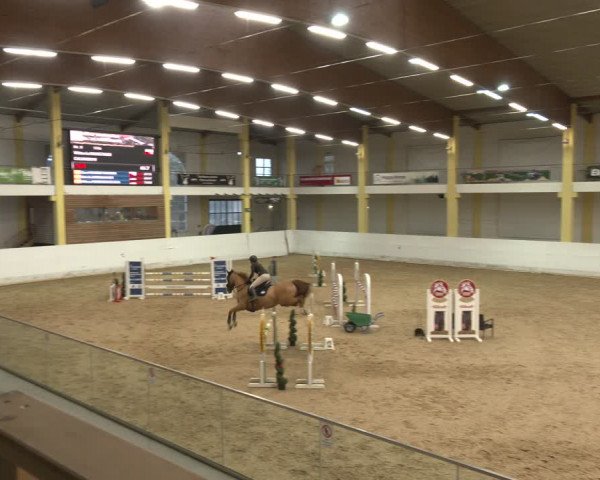 Reitturnier Stadl-Paura 2024