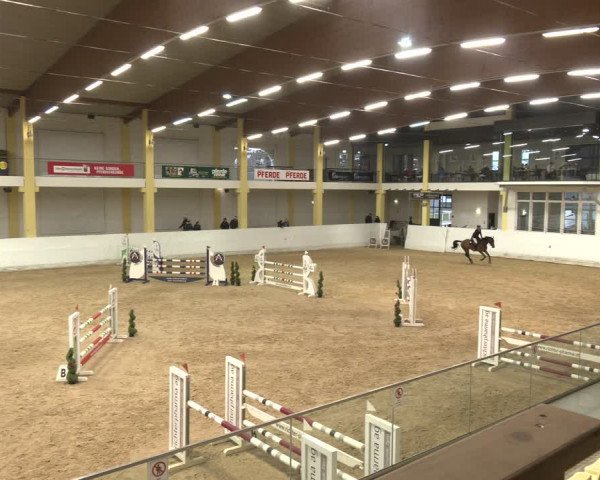 Reitturnier Stadl-Paura 2024