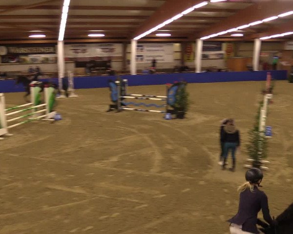 Euregio Springturnier Isterberg 2021