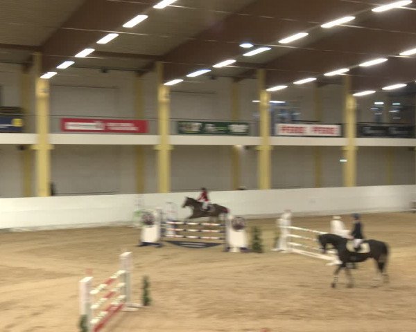 Reitturnier Stadl-Paura 2024