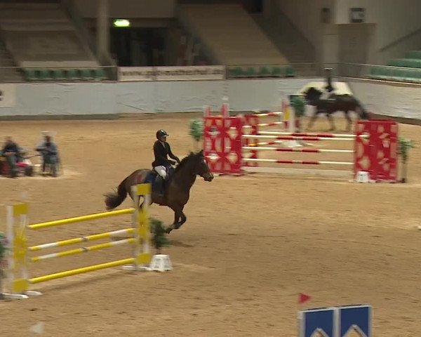 Reitturnier Kreuth/Opf. 2024