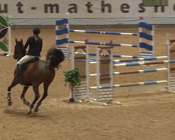 Reitturnier Kreuth/Opf. 2024