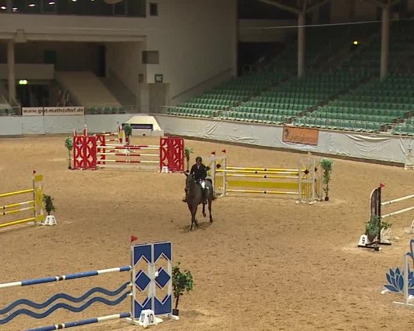 Reitturnier Kreuth/Opf. 2024